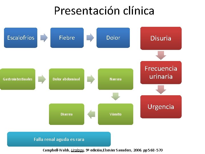 Presentación clínica Escalofríos Gastrointestinales Fiebre Dolor abdominal Dolor Nausea Disuria Frecuencia urinaria Urgencia Diarrea