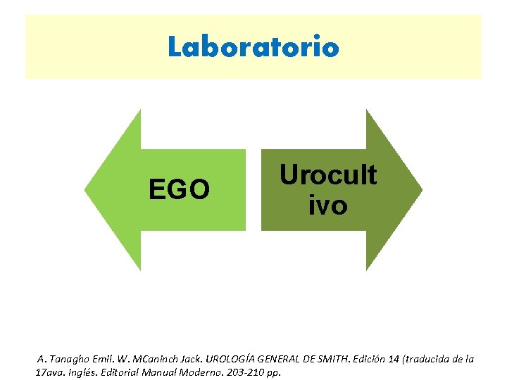 Laboratorio EGO Urocult ivo A. Tanagho Emil. W. MCaninch Jack. UROLOGÍA GENERAL DE SMITH.