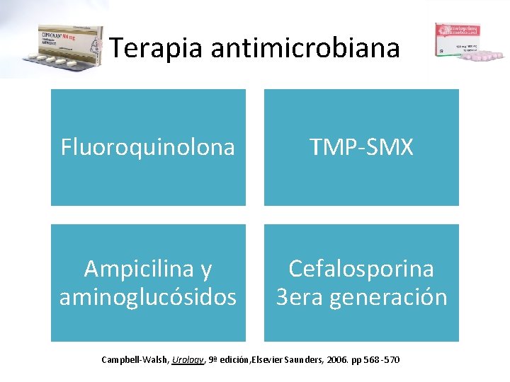 Terapia antimicrobiana Fluoroquinolona TMP-SMX Ampicilina y aminoglucósidos Cefalosporina 3 era generación Campbell-Walsh, Urology, 9ª