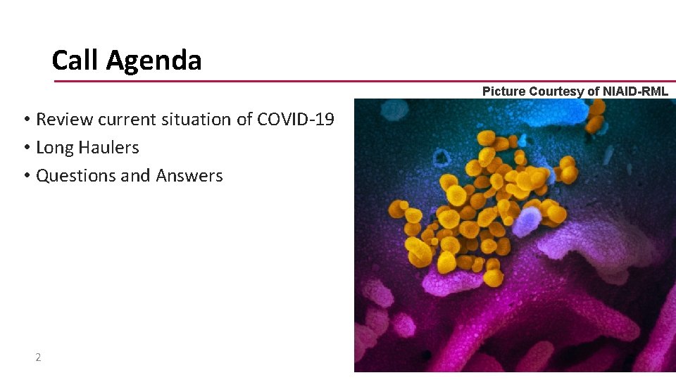 Call Agenda Picture Courtesy of NIAID-RML • Review current situation of COVID-19 • Long