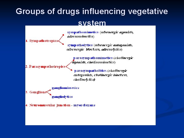 Groups of drugs influencing vegetative system 