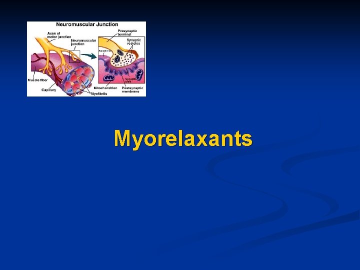 Myorelaxants 