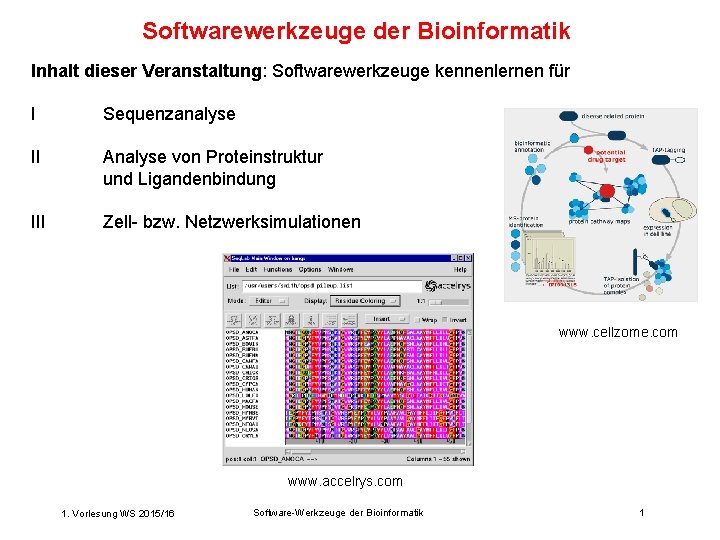 Softwarewerkzeuge der Bioinformatik Inhalt dieser Veranstaltung: Softwarewerkzeuge kennenlernen für I Sequenzanalyse II Analyse von