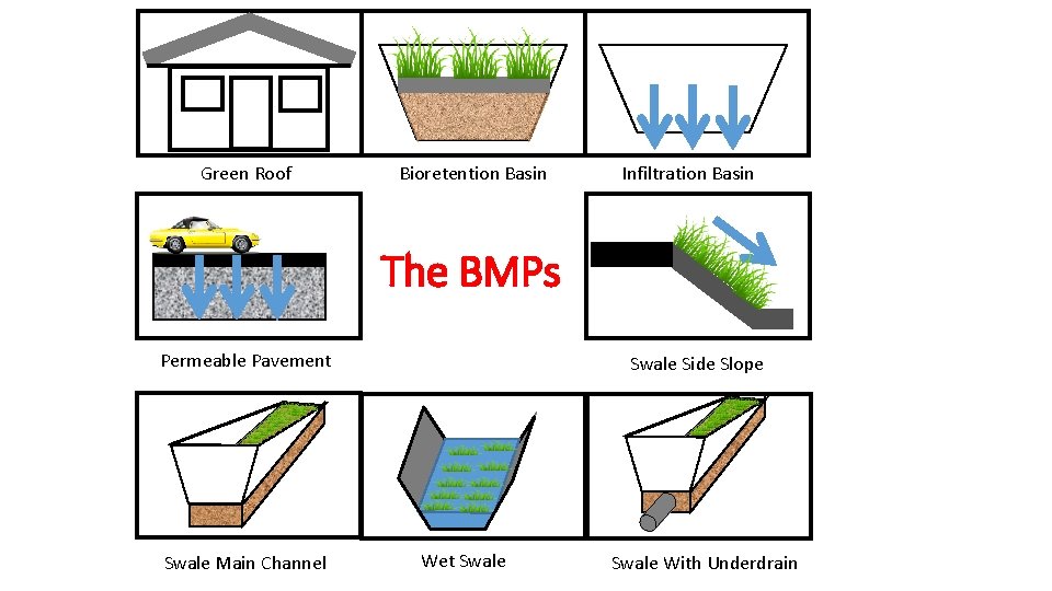 Green Roof Bioretention Basin Infiltration Basin The BMPs Permeable Pavement Swale Main Channel Swale