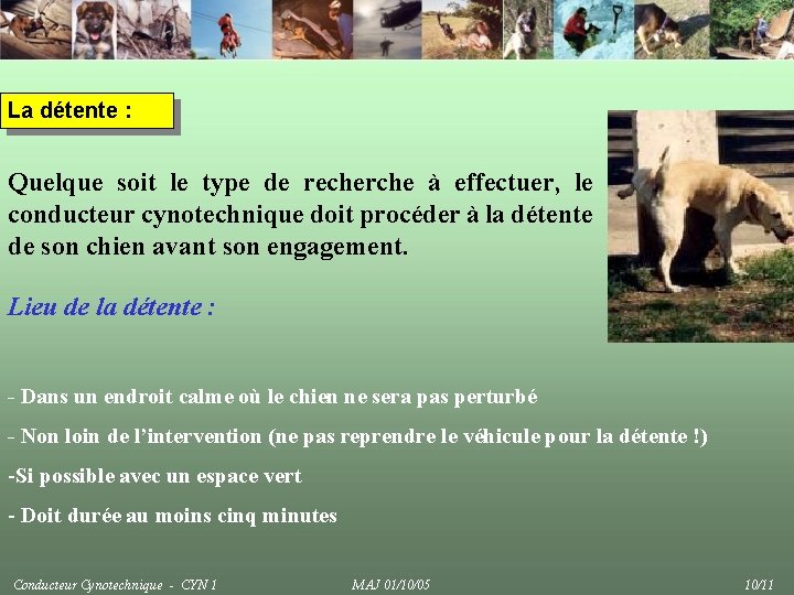 La détente : Quelque soit le type de recherche à effectuer, le conducteur cynotechnique