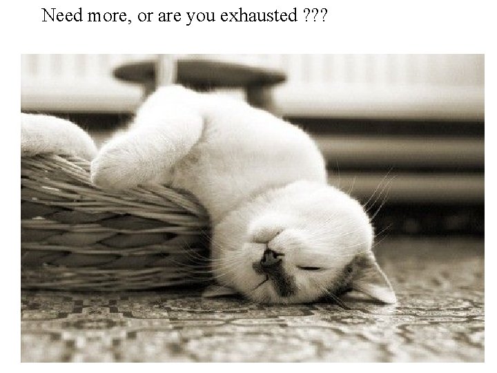 Need more, or are you exhausted ? ? ? 