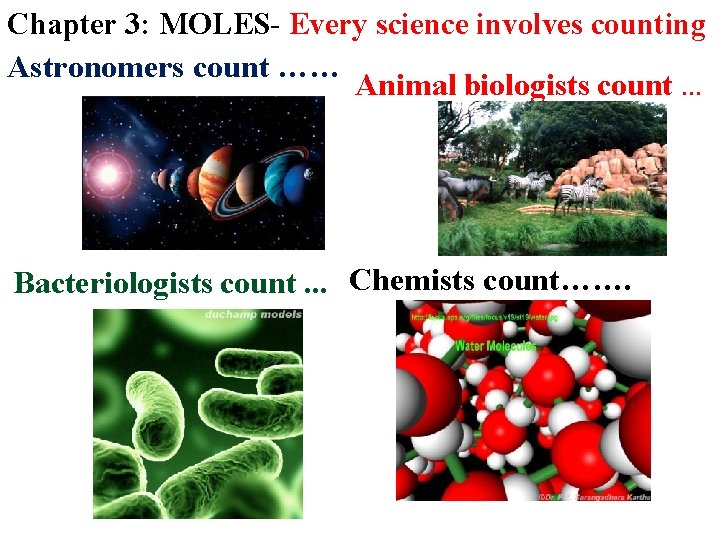 Chapter 3: MOLES- Every science involves counting Astronomers count …… Animal biologists count …