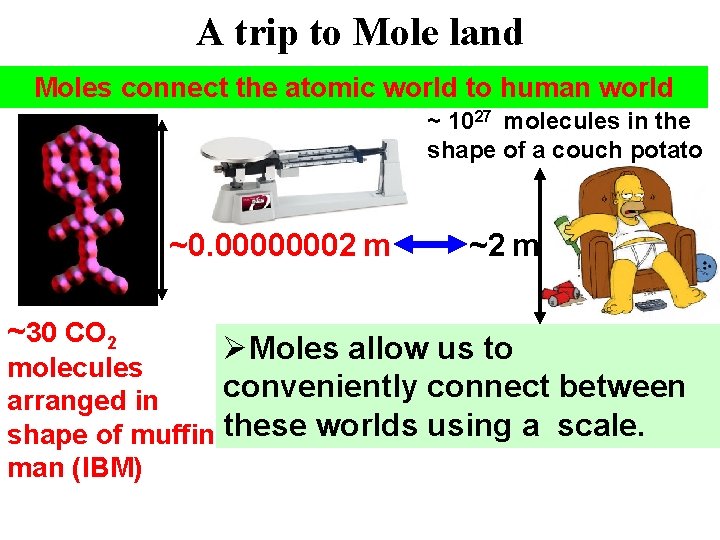 A trip to Mole land Moles connect the atomic world to human world ~