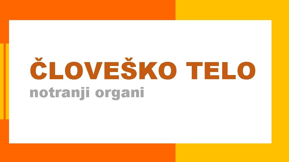 ČLOVEŠKO TELO notranji organi 