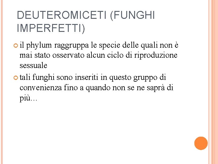 DEUTEROMICETI (FUNGHI IMPERFETTI) il phylum raggruppa le specie delle quali non è mai stato