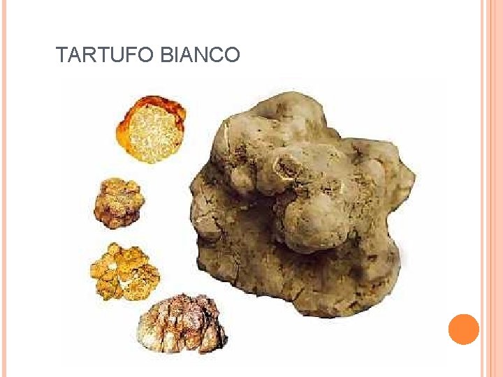 TARTUFO BIANCO 