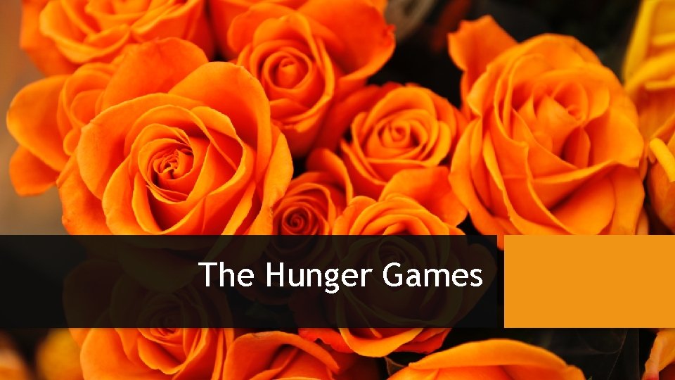 The Hunger Games 