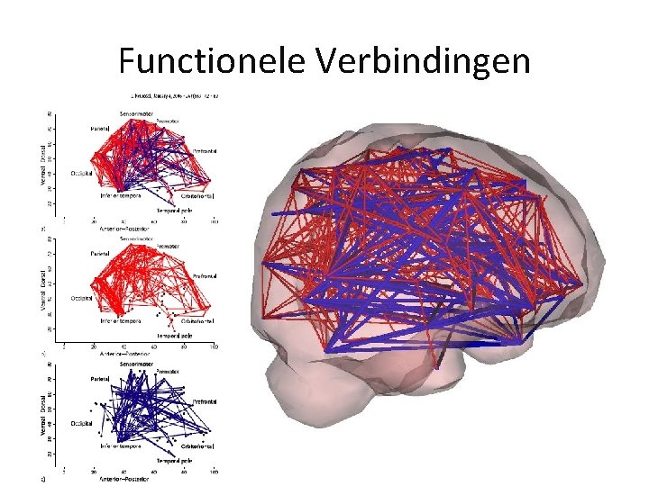 Functionele Verbindingen 