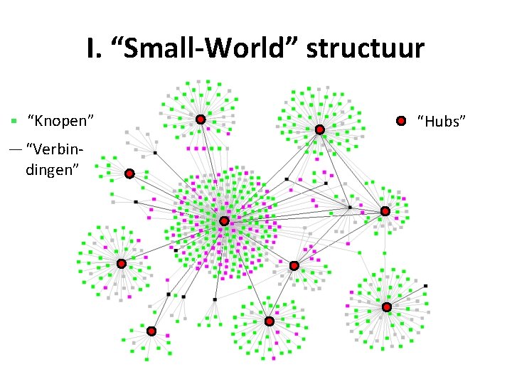 I. “Small-World” structuur “Knopen” “Verbindingen” “Hubs” 