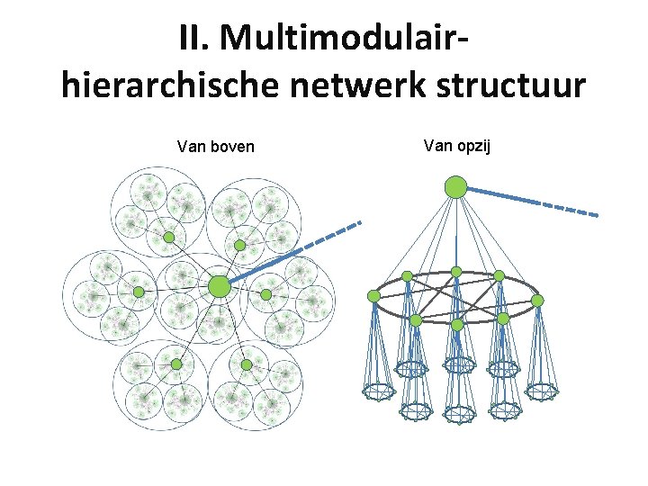 II. Multimodulairhierarchische netwerk structuur Van boven Van opzij 