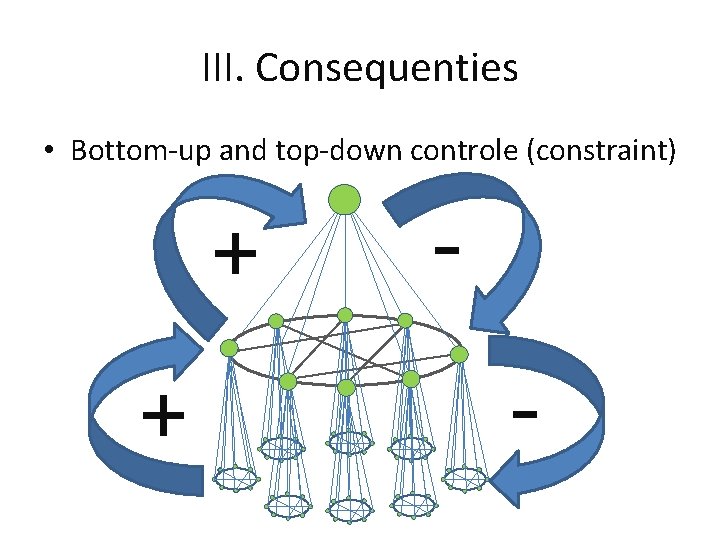 III. Consequenties • Bottom-up and top-down controle (constraint) + + - 