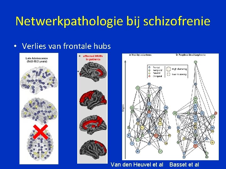 Netwerkpathologie bij schizofrenie • Verlies van frontale hubs Van den Heuvel et al Basset