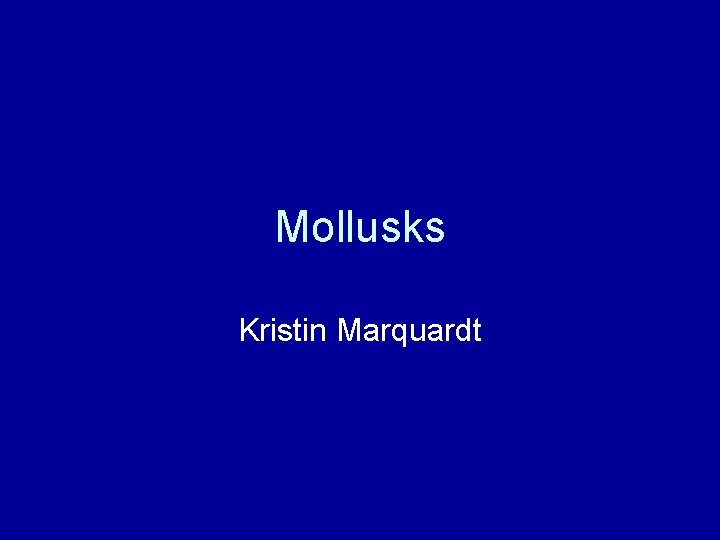Mollusks Kristin Marquardt 