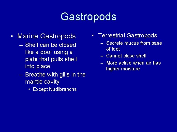 Gastropods • Marine Gastropods – Shell can be closed like a door using a