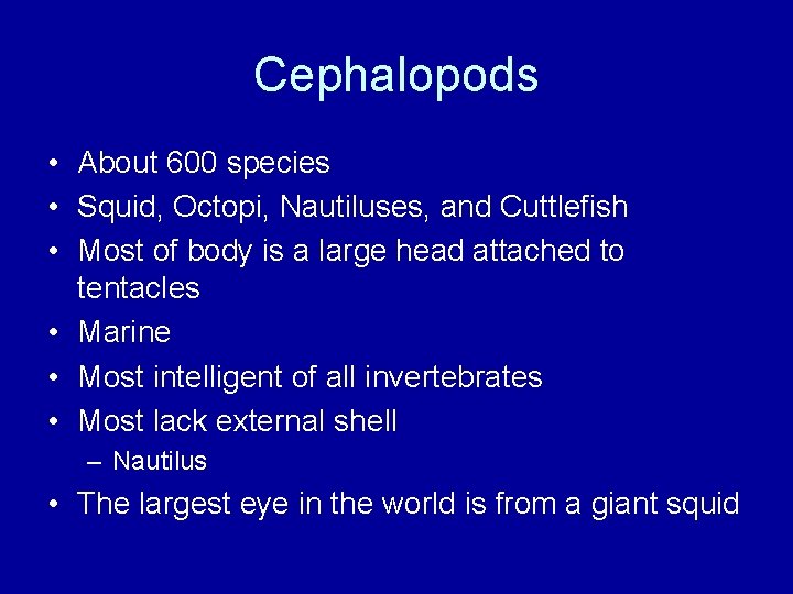 Cephalopods • About 600 species • Squid, Octopi, Nautiluses, and Cuttlefish • Most of