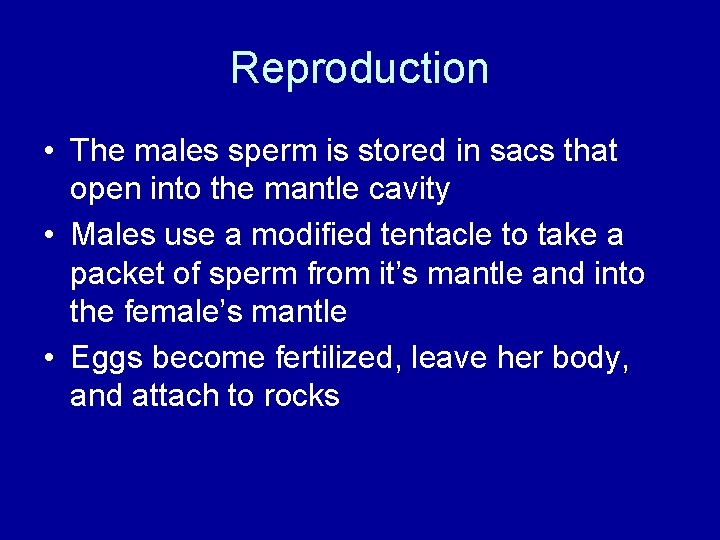 Reproduction • The males sperm is stored in sacs that open into the mantle