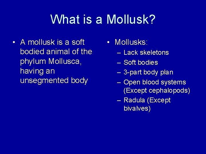 What is a Mollusk? • A mollusk is a soft bodied animal of the