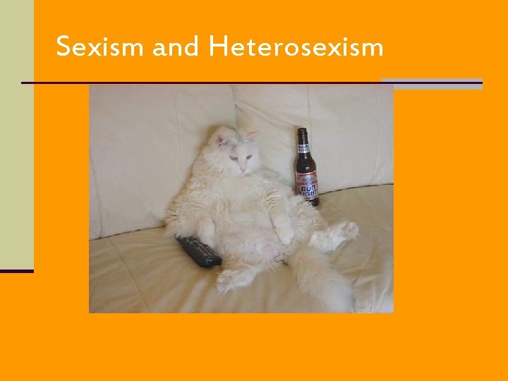 Sexism and Heterosexism 