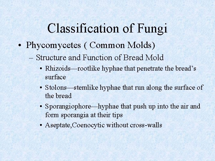 Classification of Fungi • Phycomycetes ( Common Molds) – Structure and Function of Bread Classification of Fungi • Phycomycetes ( Common Molds) – Structure and Function of Bread