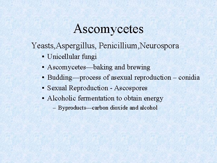 Ascomycetes Yeasts, Aspergillus, Penicillium, Neurospora • • • Unicellular fungi Ascomycetes—baking and brewing Budding—process