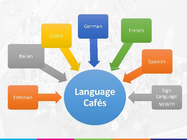 German Czech Italian Estonian French Spanish Language Cafés Sign Language NEW!!! 