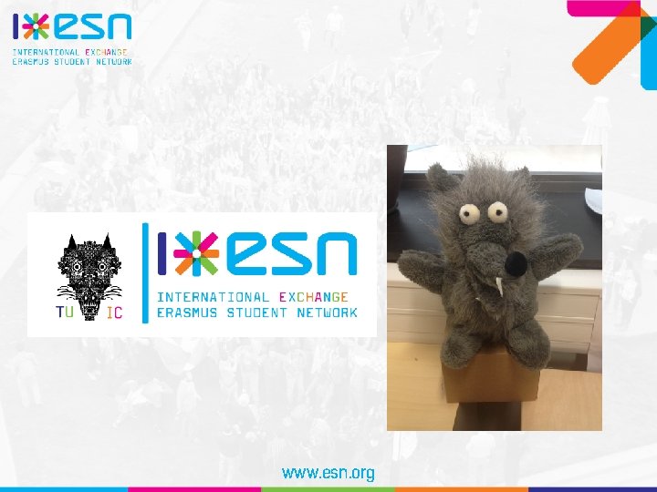 www. esn. org 