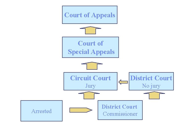 Court of Appeals Court of Special Appeals Arrested Circuit Court District Court Jury No Court of Appeals Court of Special Appeals Arrested Circuit Court District Court Jury No