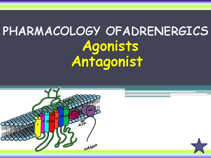 PHARMACOLOGY OFADRENERGICS Agonists Antagonist 