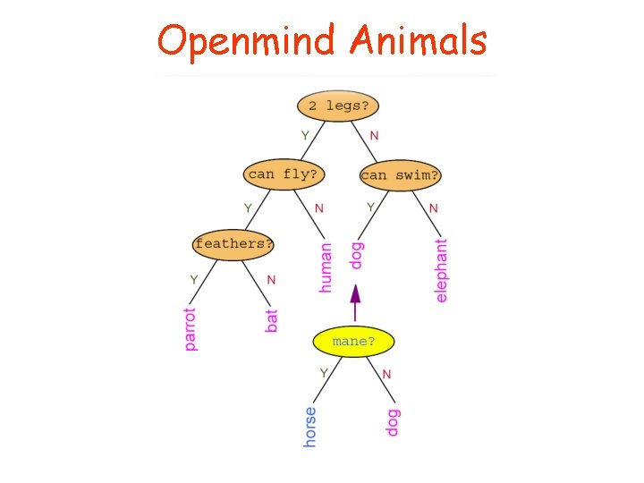 Openmind Animals 
