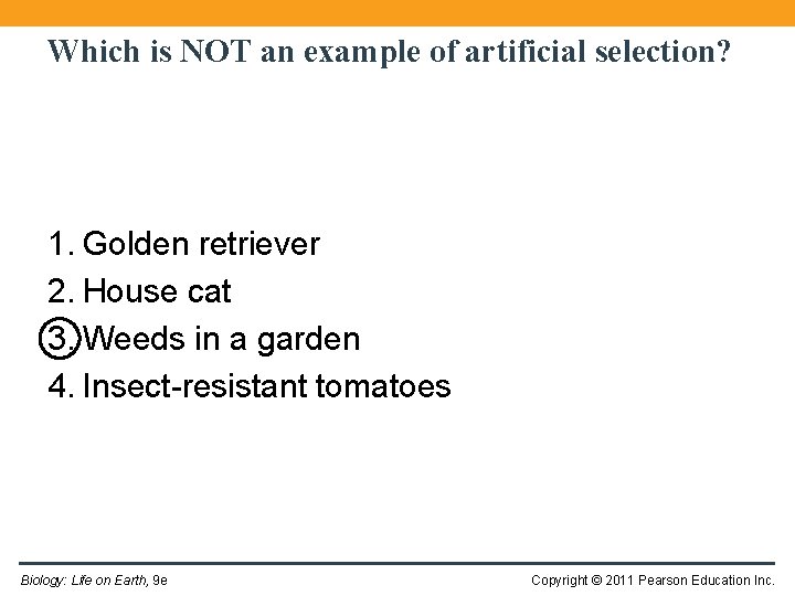 Which is NOT an example of artificial selection? 1. Golden retriever 2. House cat