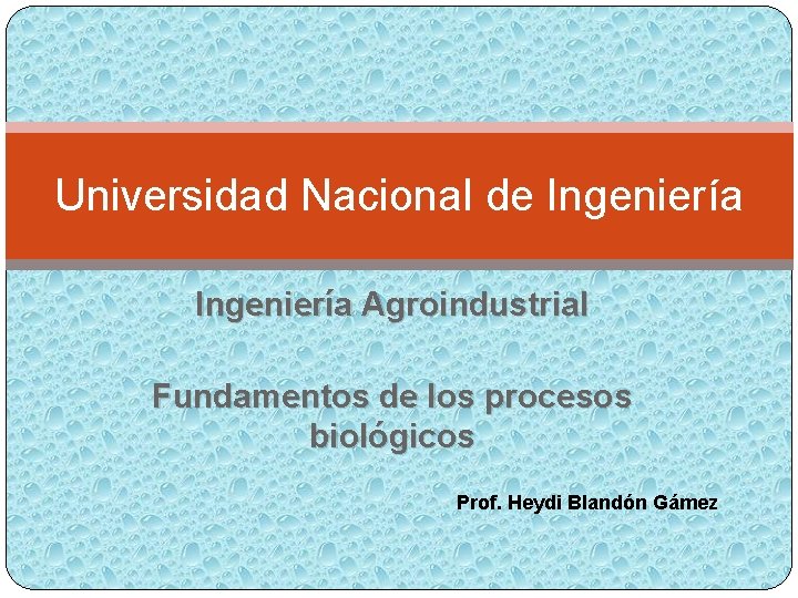 Universidad Nacional de Ingeniería Agroindustrial Fundamentos de los procesos biológicos Prof. Heydi Blandón Gámez