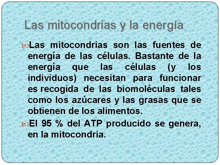 Las mitocondrias y la energía Las mitocondrias son las fuentes de energía de las