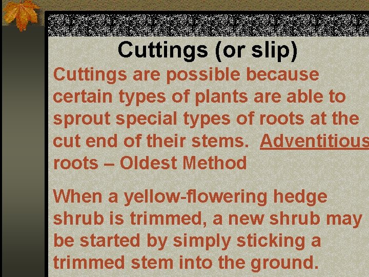 Cuttings (or slip) Cuttings are possible because certain types of plants are able to