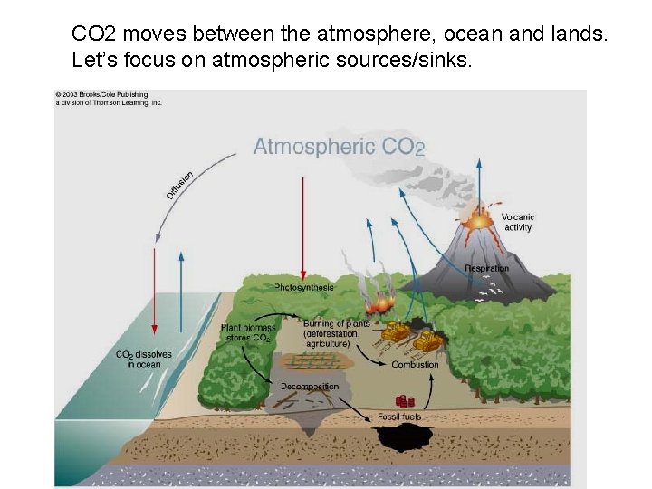 CO 2 moves between the atmosphere, ocean and lands. Let’s focus on atmospheric sources/sinks.
