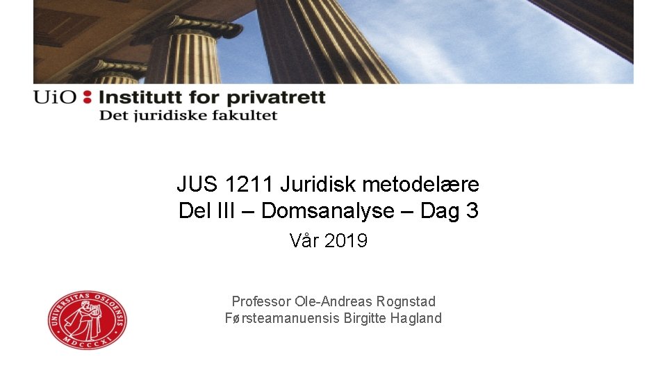 JUS 1211 Juridisk metodelære Del III – Domsanalyse – Dag 3 Vår 2019 Professor