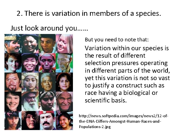 2. There is variation in members of a species. Just look around you…… But