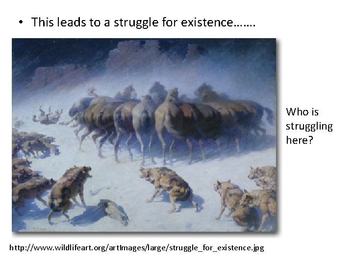  • This leads to a struggle for existence……. Who is struggling here? http: