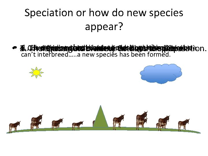 Speciation or how do new species appear? 6. …Eventually enough change up that the