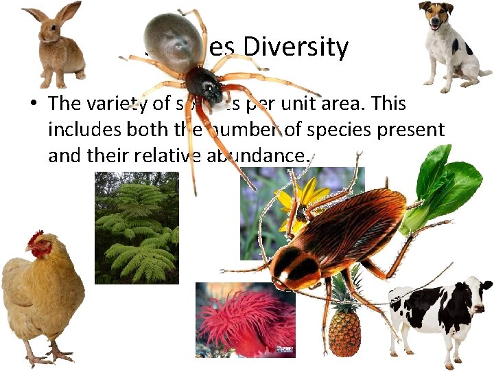 Species Diversity • The variety of species per unit area. This includes both the