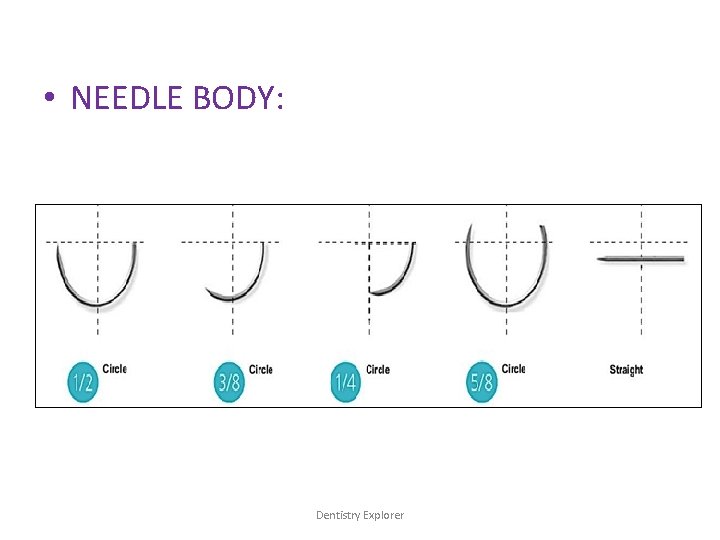  • NEEDLE BODY: Dentistry Explorer 