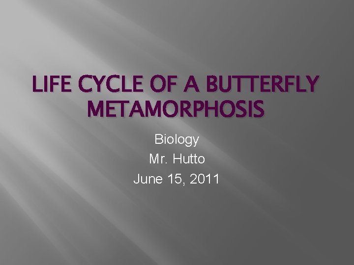 LIFE CYCLE OF A BUTTERFLY METAMORPHOSIS Biology Mr. Hutto June 15, 2011 