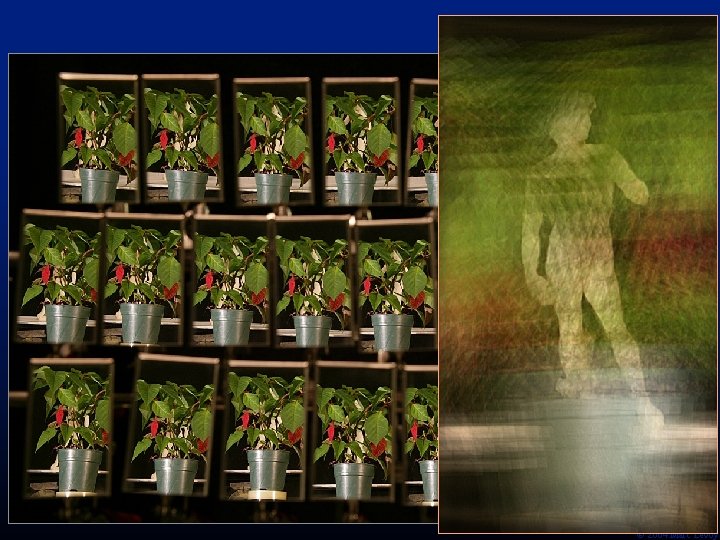 Ó 2004 Marc Levoy Ó 2004 Marc Levoy