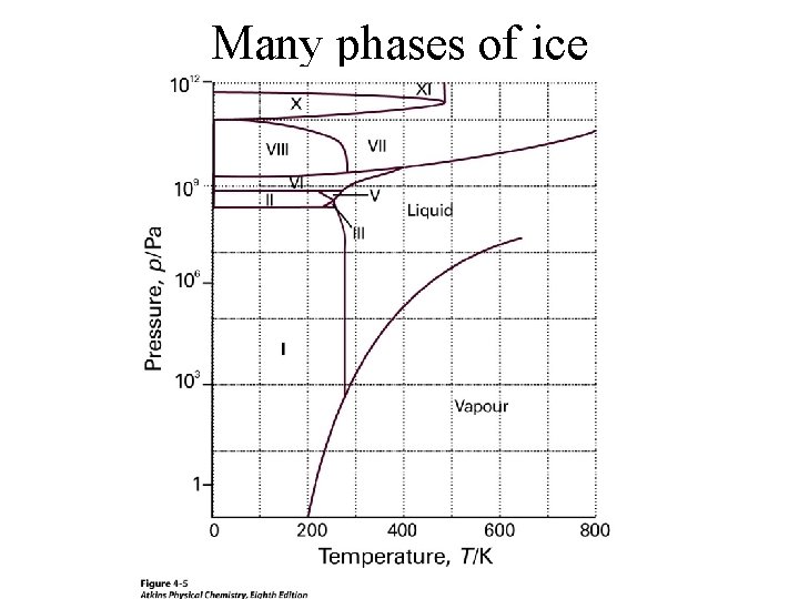 Many phases of ice 