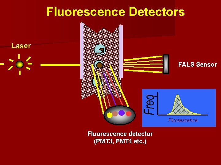 Fluorescence Detectors Laser FALS Sensor Fluorescence detector (PMT 3, PMT 4 etc. ) 