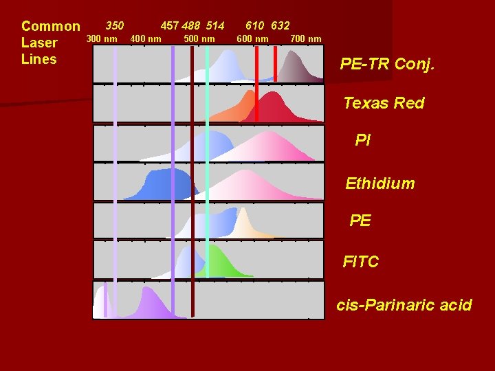 Common Laser Lines 350 300 nm 457 488 514 400 nm 500 nm 610